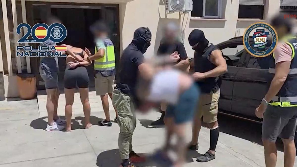 Detenidos en Tenerife los dos fugitivos responsables de la mayor plantación de marihuana incautada en Hungría