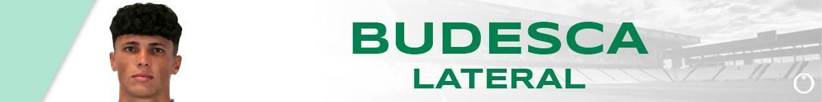 Budesca