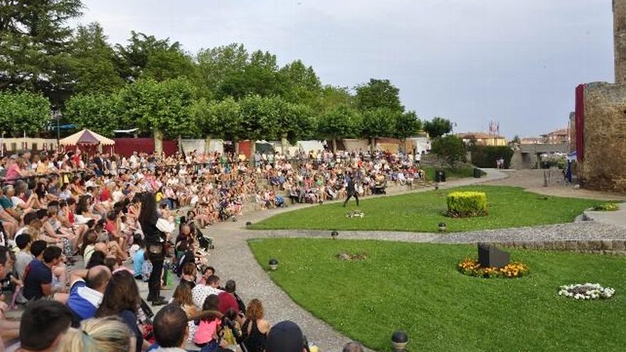 Cetrería en el entorno del Castillo de Valencia de Don Juan.