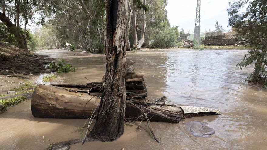 Seis personas heridas y cerca de 600 incidencias en Canarias desde el inicio de la borrasca Therese