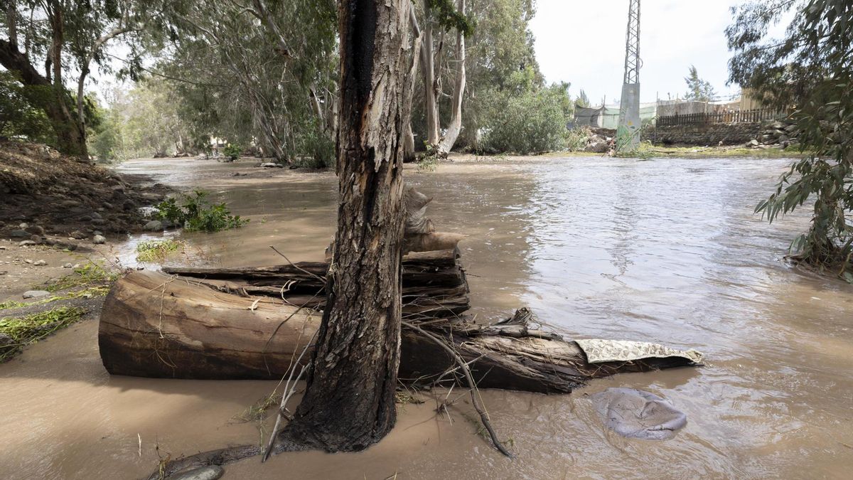 Seis personas heridas y cerca de 600 incidencias en Canarias desde el inicio de la borrasca Therese