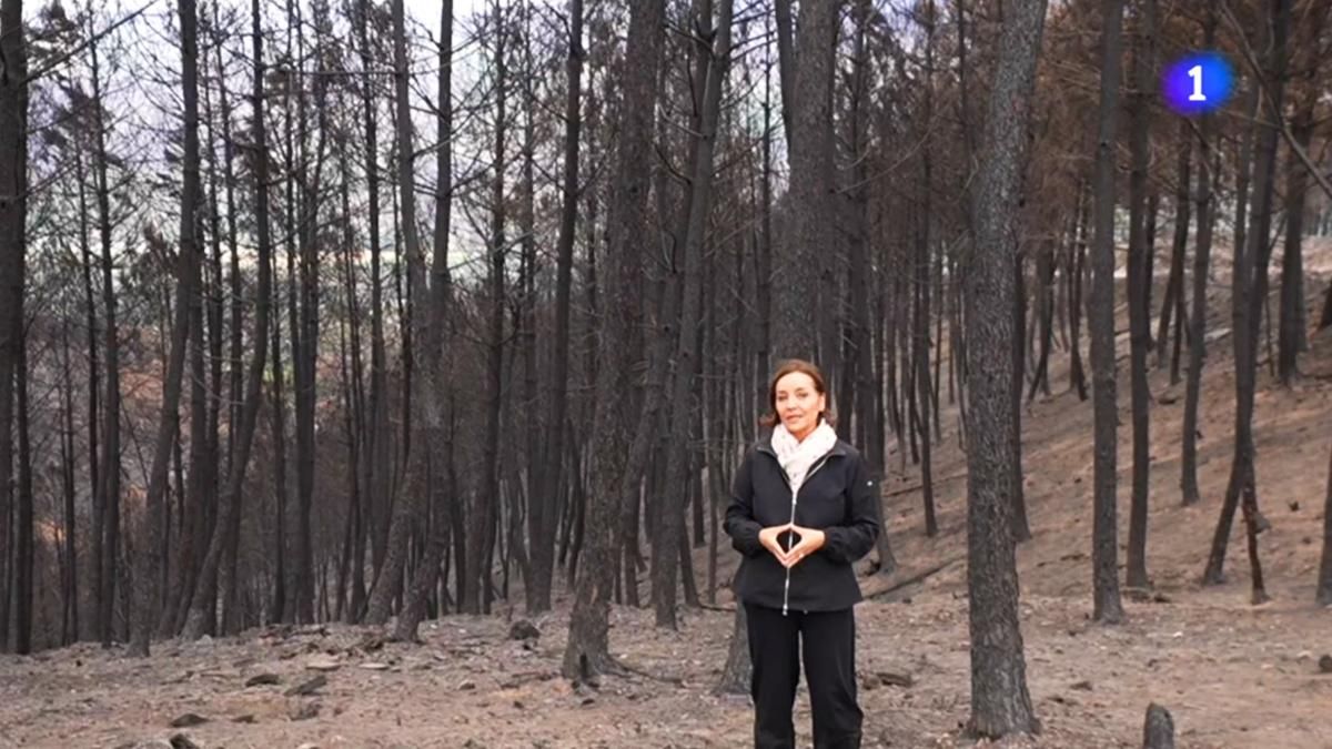 Pepa Bueno sale del plató en su tercer 'Telediario': así será su informativo especial en RTVE sobre los incendios