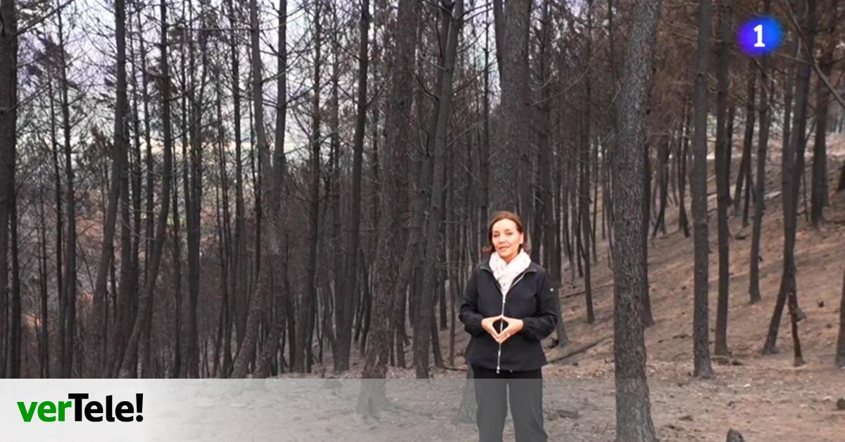 Pepa Bueno sale del plató en su tercer  Telediario : así será su informativo especial en RTVE sobre los incendios