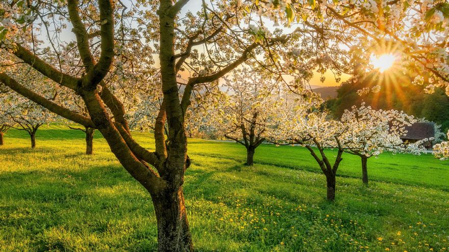 Cuándo empieza la primavera en 2026: fecha y hora del equinoccio