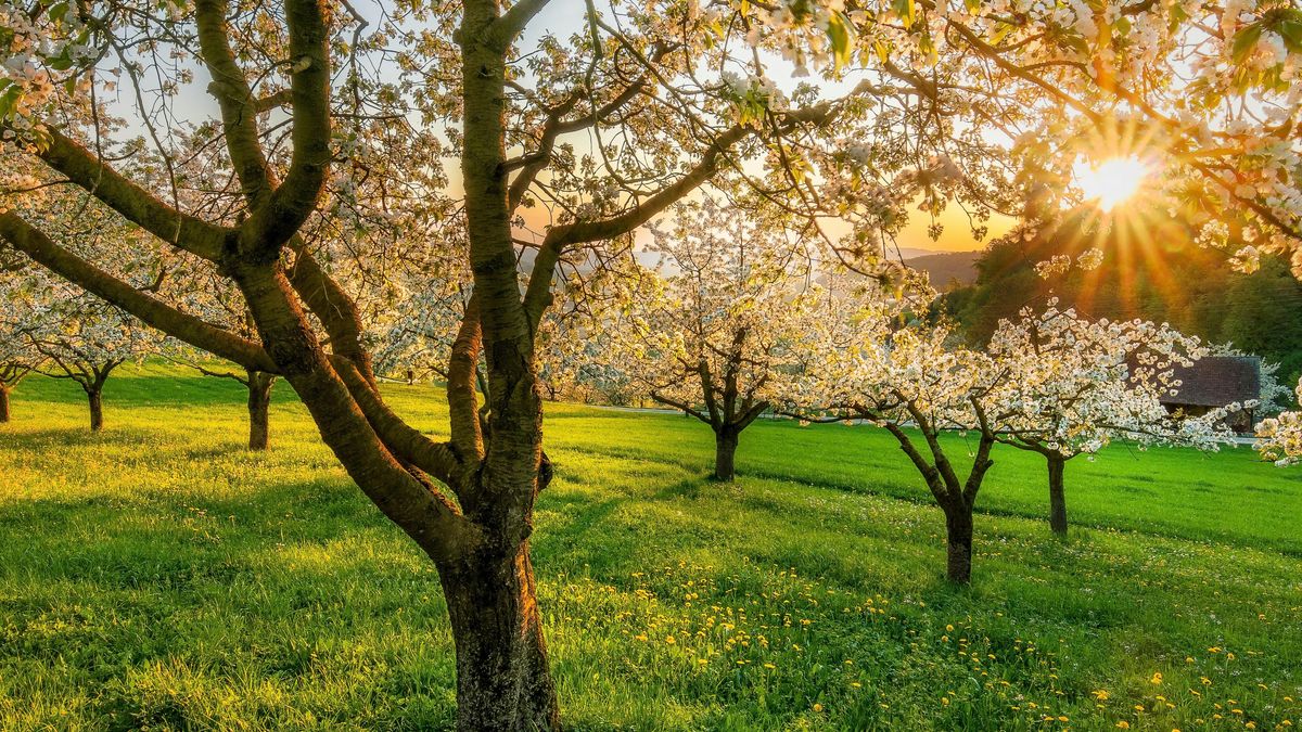 El inicio de la primavera en el hemisferio norte se define por el momento exacto del equinoccio.