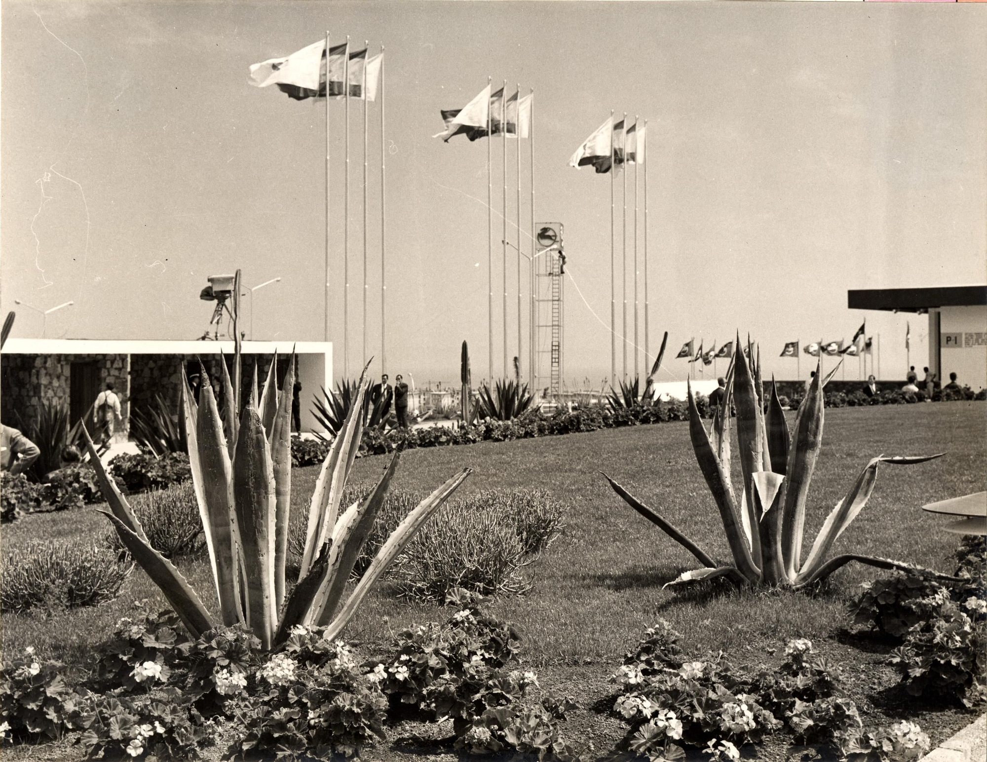 Banderas y Jardines de la Feria del Atlántico (Fedac)