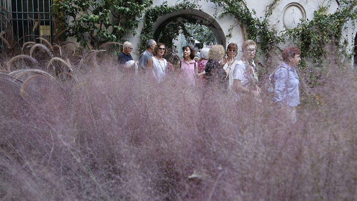 FLORA 2025 - Jardín sin tiempo' (Patio del Reloj de la Diputación)