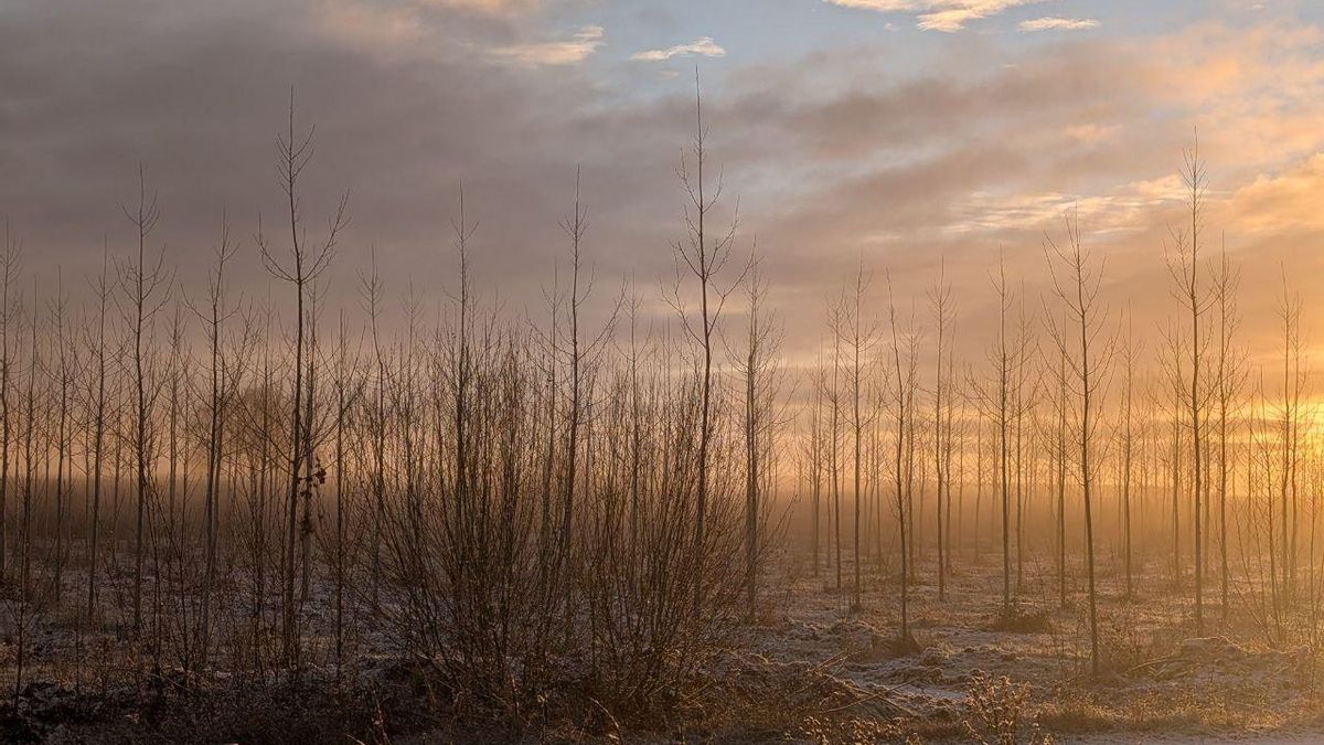 Nieve en el Páramo.