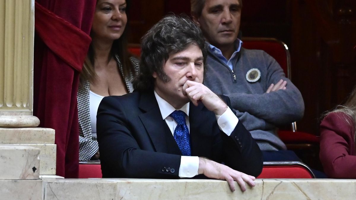 Javier Milei: el ascenso al hoyo