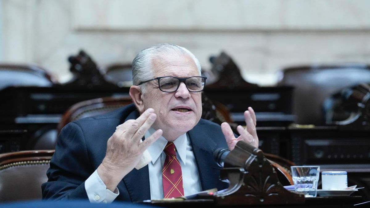 Ricardo López Murphy en su banca de diputado.