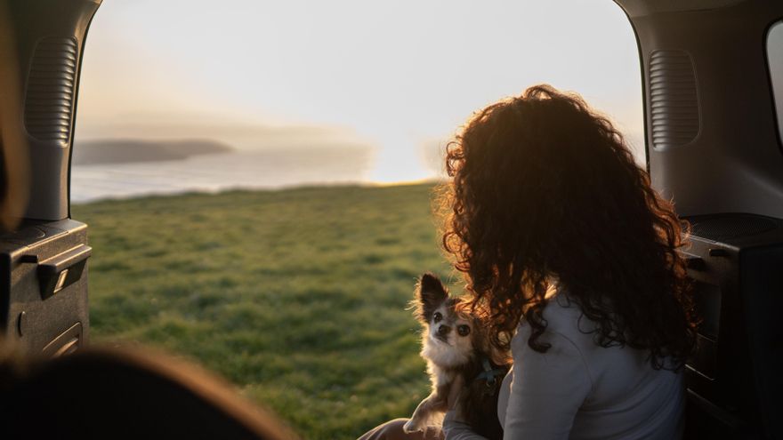 Cuatro destinos cómodos y adaptados en España si tienes pensado viajar con tu perro