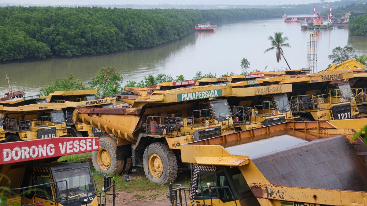 La selva primaria indonesia agoniza, su superficie ha caído de 148 a 46 millones de hectáreas entre 1950 y 2020. La Bahía de Balikpapan (en la imagen) se cubre poco a poco de puertos de importación de materiales de construcción, y de exportación de madera, aceite de palma y carbón.