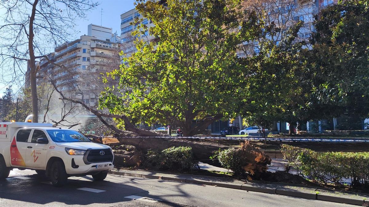 El Ayuntamiento de Zaragoza cierra los parques por viento fuerte y activa el plan de emergencias