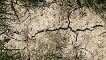 cambio climático