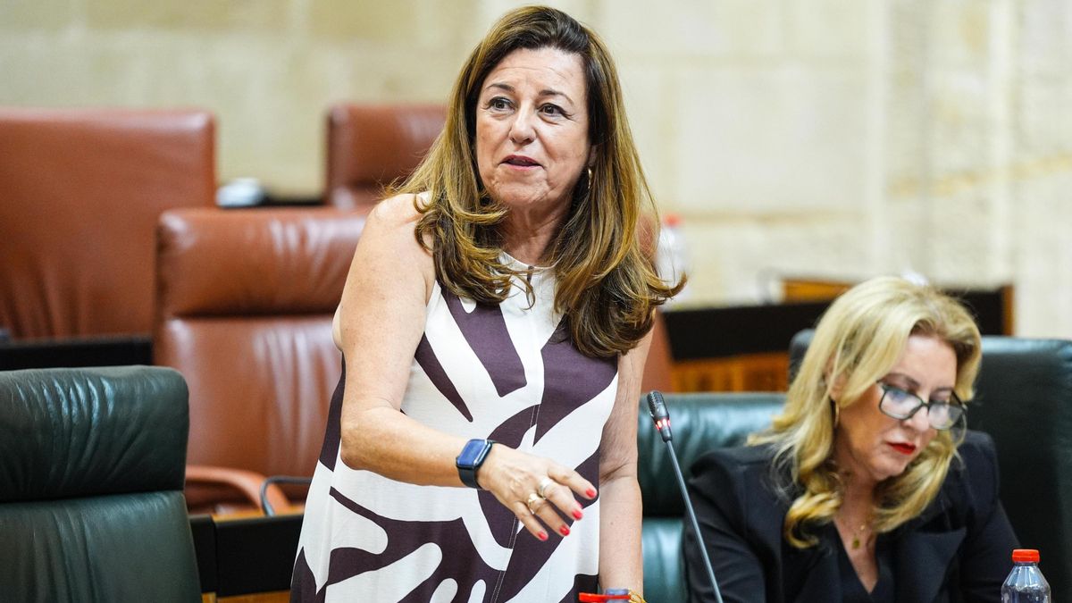 La consejera de Desarrollo Educativo y Formación Profesional, María del Carmen Castillo, este jueves.