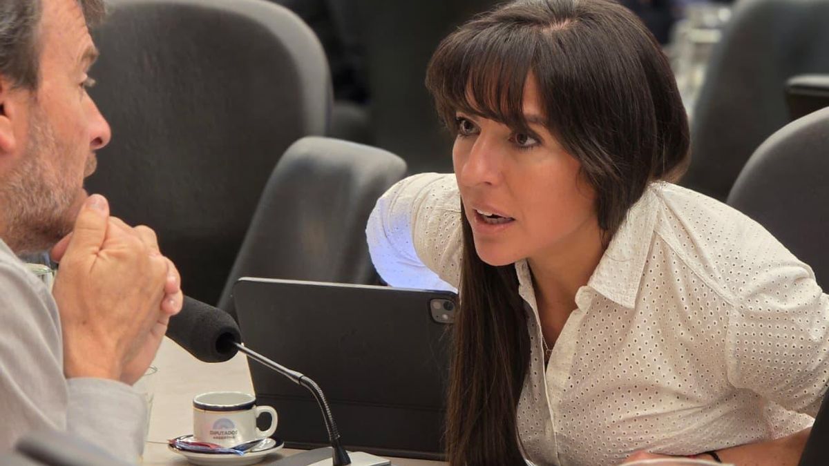 Pamela Verasay, la nueva jefa del bloque radical