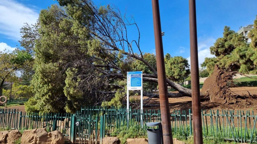 Santa Cruz de Tenerife suspende todas las actividades municipales al aire libre, incluido el rastro, este domingo