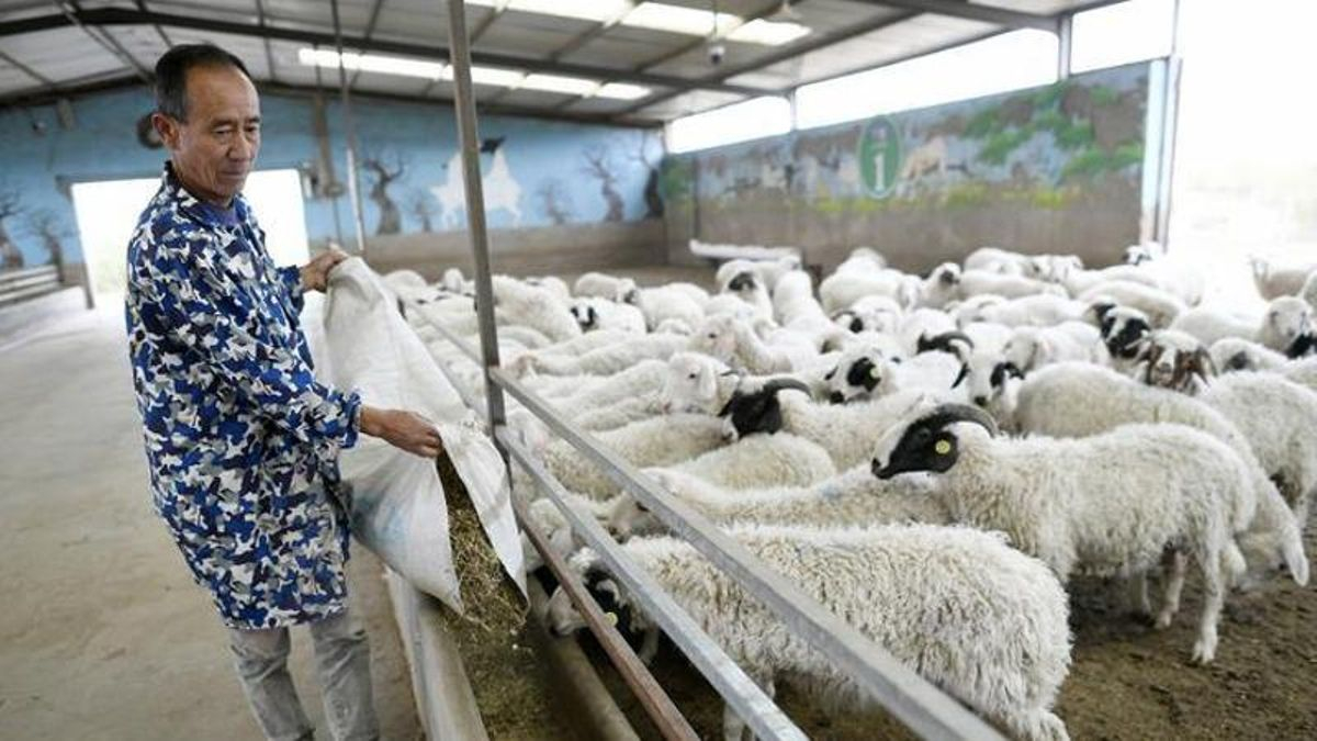 Cómo Brasil, México y China bajaron la pobreza en esta década (spoiler: no usaron el manual libertario)