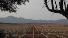 El cambio climático amenaza con desplazar a miles de españoles por convertir sus tierras en desierto