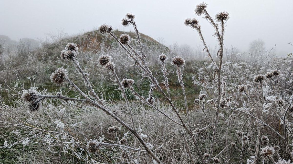 El tiempo hoy en León, viernes 28 de noviembre: cencellada y cielos despejados