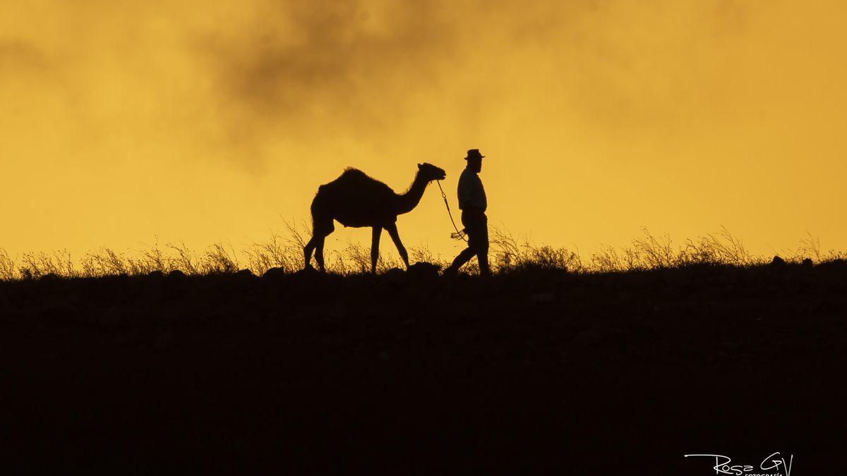 Camello y camellero durante el eclipse solar del dia 12 de Agosto de 2026 en Lanzarote. 
Autora: Rosa García Autora: Rosa García