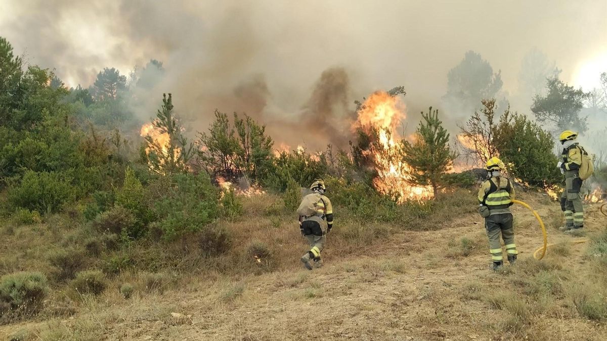 La huelga de las brigadas forestales en Aragón seguirá suspendida un mes tras el principio de acuerdo con el Gobierno