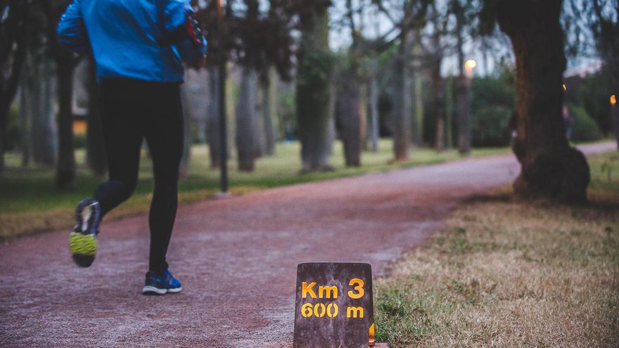 Un tramo del circuito runner del jardín del Túria