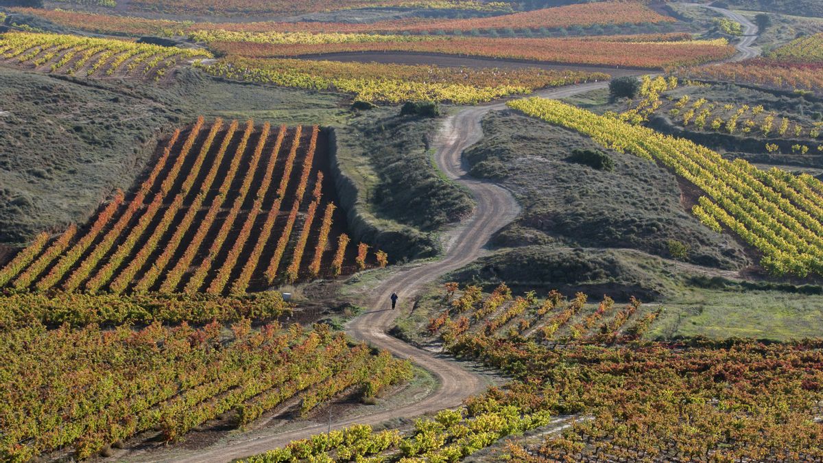 Camino de Santiago en La Rioja