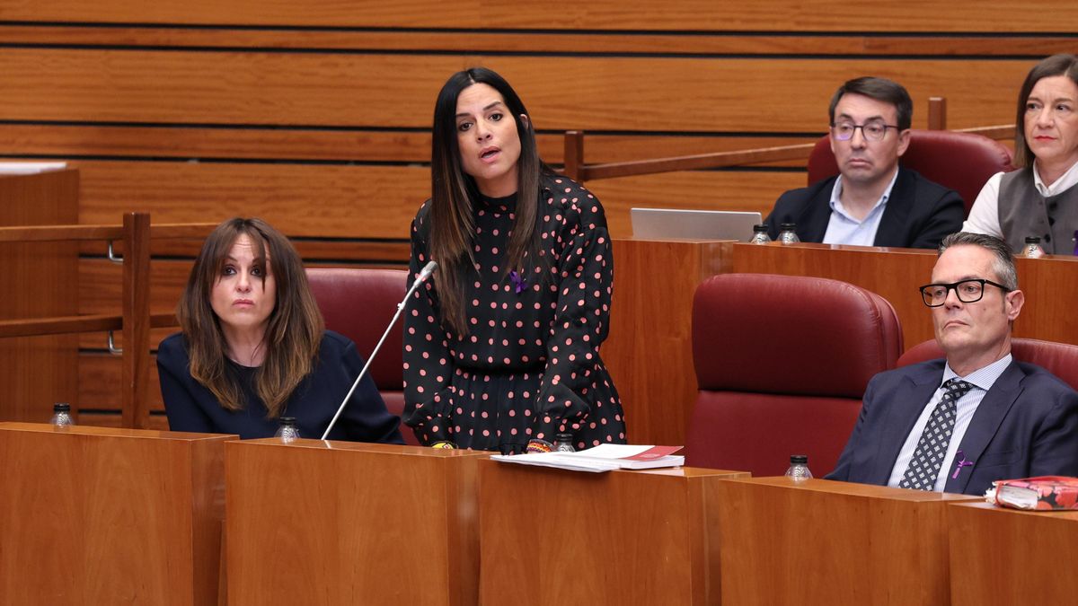 Suárez-Quiñones acusa al PSOE de "presionar" a la Fiscalía por las denuncias de los incendios de Castilla y León