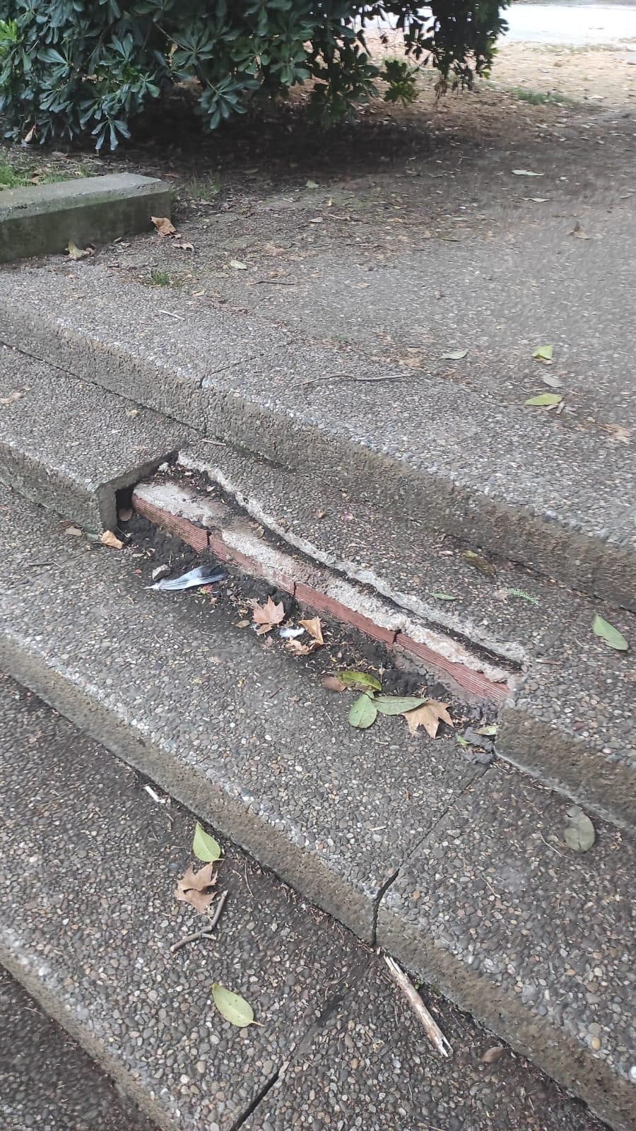 Mala accesibilidad en Avda. Constitución