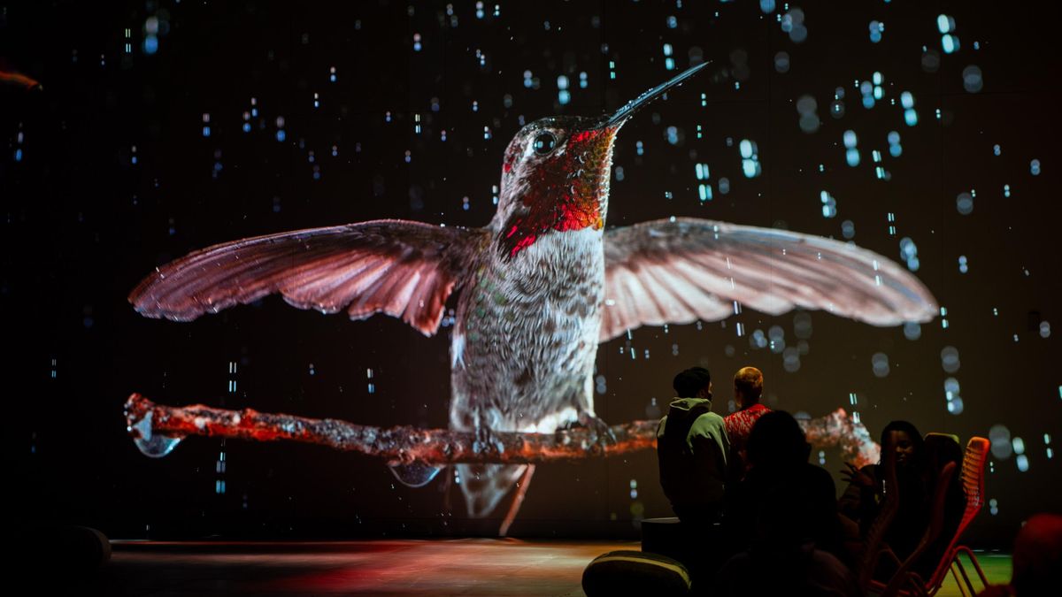 Visitantes en la experiencia inmersiva 'Somos naturaleza'