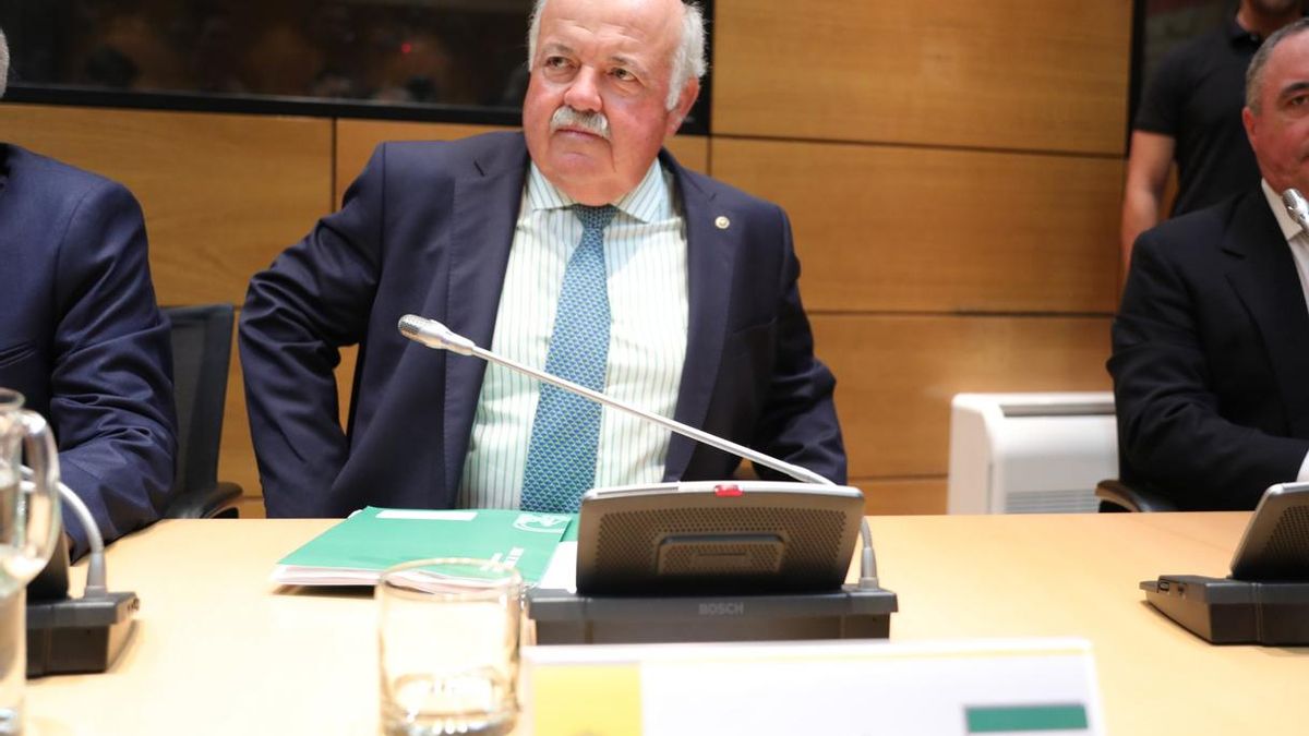 Aguirre pide al Ayuntamiento un simulacro del proceso para saber "de forma clara" cuándo se contaminó la carne