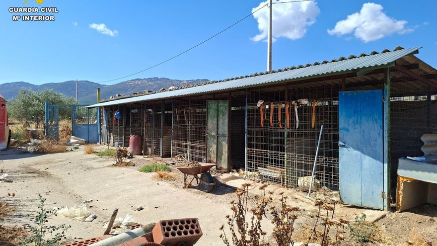 Abandonó a 29 perros de una rehala que murieron y quemó sus cuerpos en una hoguera junto a la basura