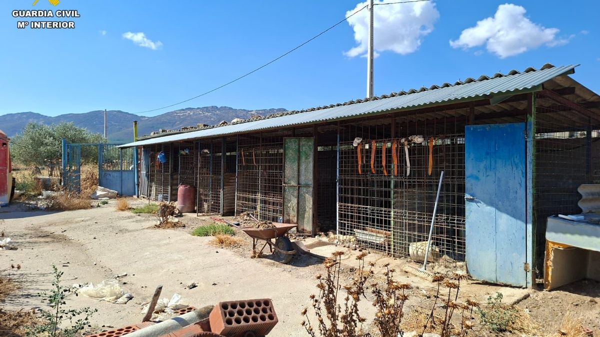 Abandonó a 29 perros de una rehala que murieron y quemó sus cuerpos en una hoguera junto a la basura