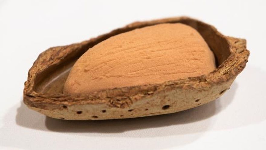 “La almendra, del origen a la evolución”,