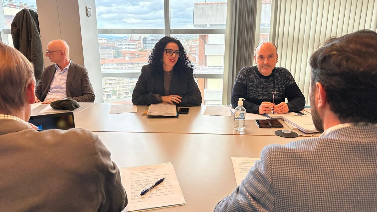 Reunión del pleno del Consejo del Patrimonio Cultural de Asturias, bajo la presidencia de la consejera de Cultura, Vanessa Gutiérrez, en el centro.