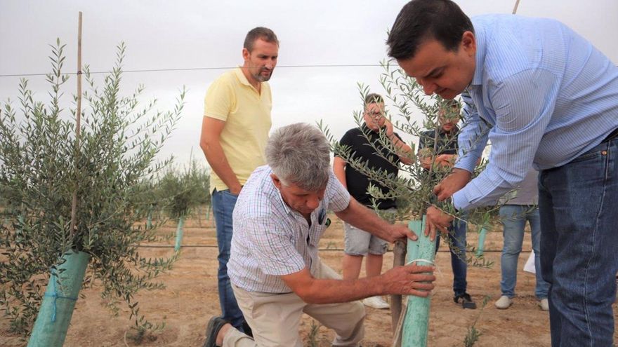 El consejero en Huecas