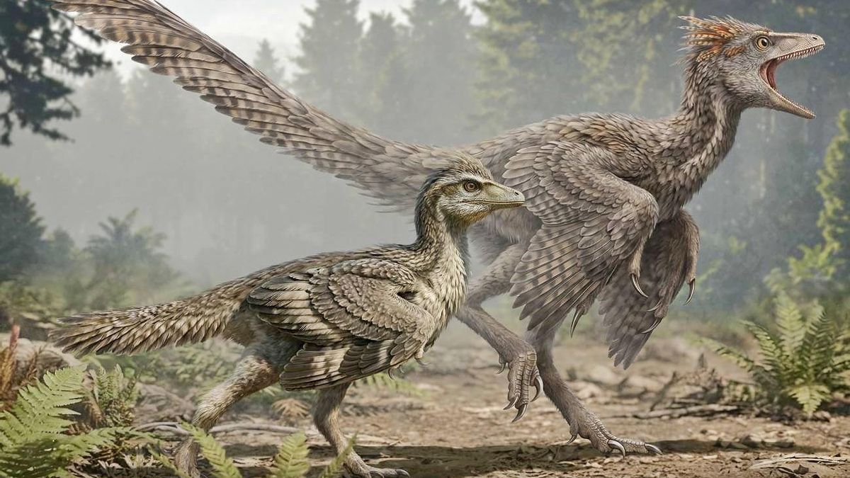 ¿Qué fue primero en el desarrollo de los dinosaurios hacia las aves, el acortamiento o la fusión de las vértebras de la cola?