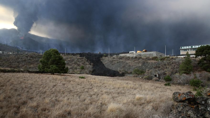 Camino de lava volcánica en La Palma. (ALEJANDRO RAMOS)