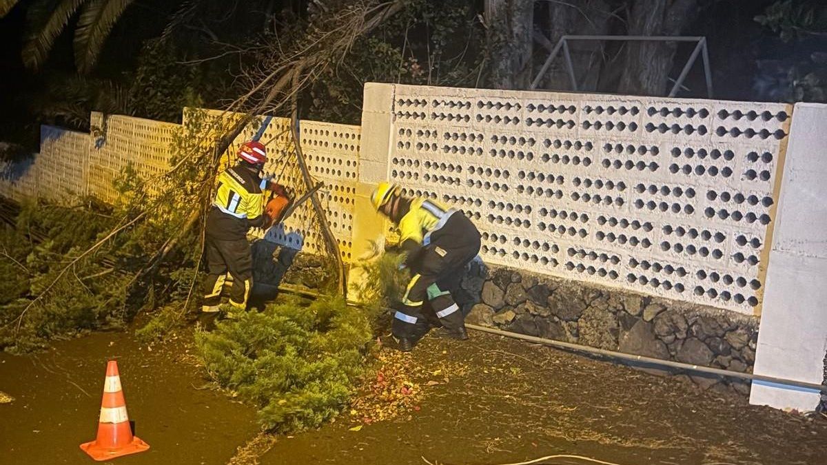 Bomberos La Palma cortando una rama  tronchada por el viento el Valle de Aridane.