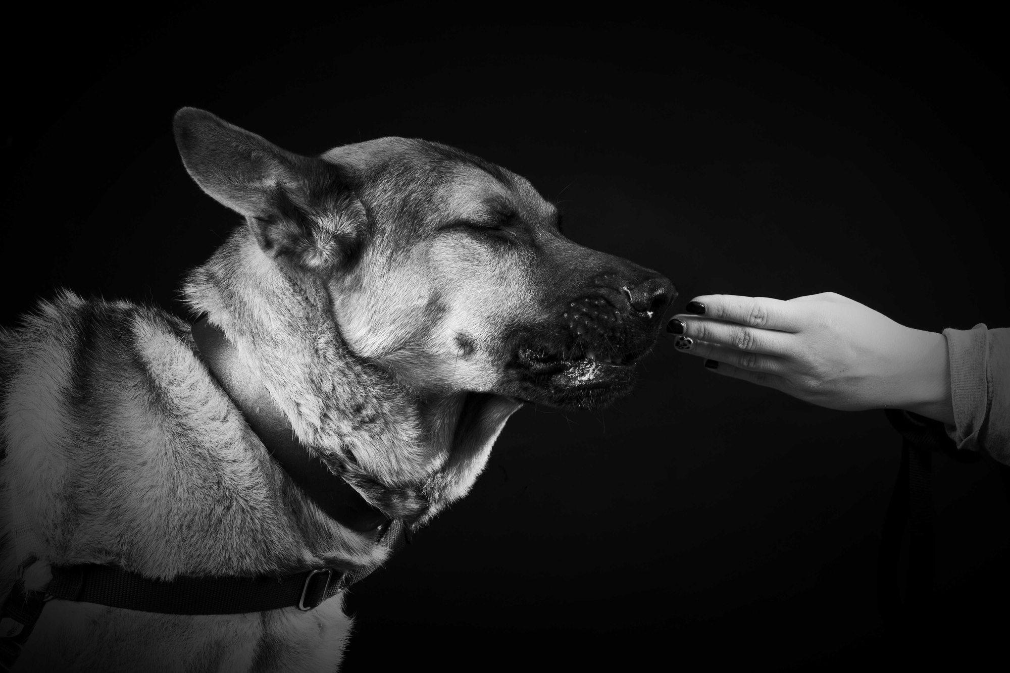 'Una mirada, una vida'.