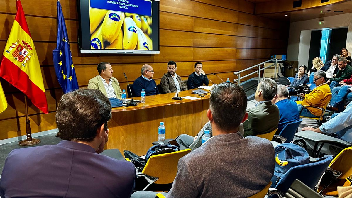 La nueva presidencia de Asprocan, contraria al decreto del plátano, se estrena con el ‘regalo’ de que el Gobierno lo aprobará el lunes