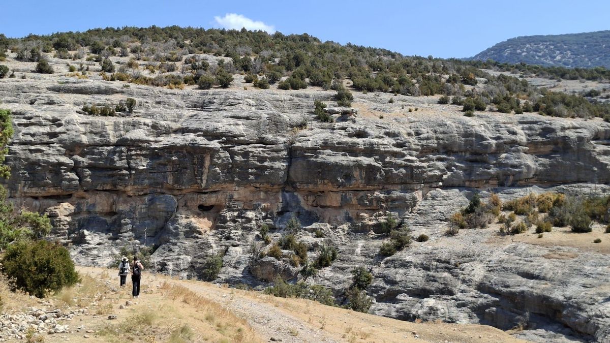 Las paredes que dan acceso a la Cueva de Chaves, situada en plena Sierra de Guara altoaragonesa.