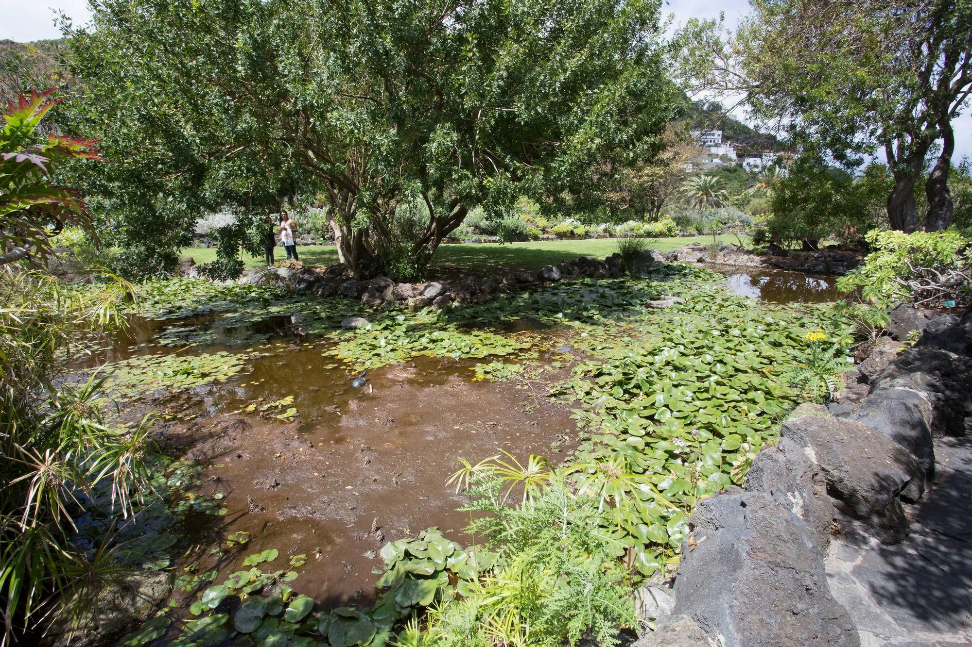 Recorrido institucional por el Barranco del Guiniguada en el Día Mundial del Agua.