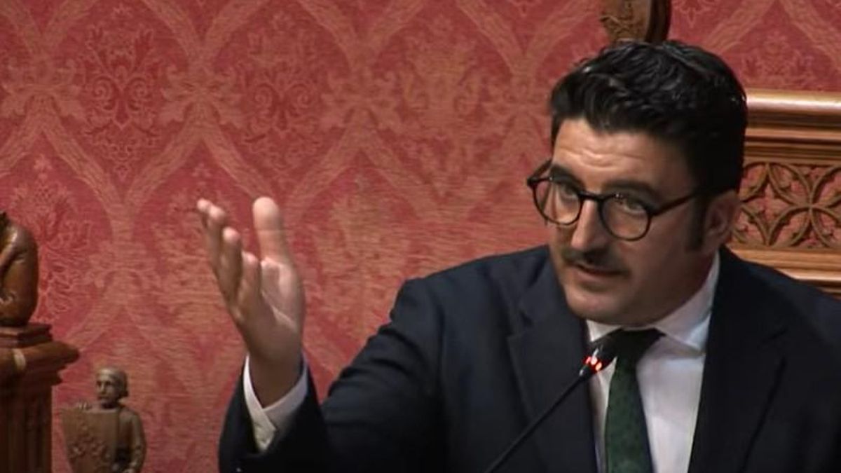 Toni Gili, portavoz de Vox, durante su intervención este miércoles en el Consell de Mallorca