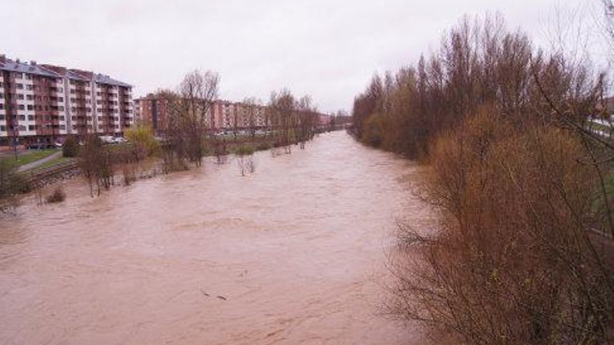 Imágenes del desbordamiento del Bernesga a su paso por la capital leonesa.