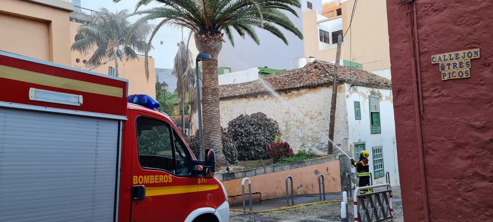 Un bombero apagando el conato en la palmera.
