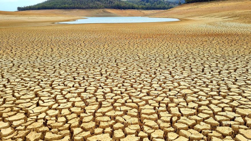 Extremadura pide al Gobierno medidas concretas y urgentes para abordar la sequía