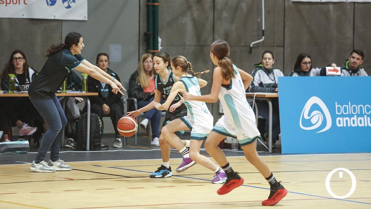 Finales del campeonato de andalucía de minibasket femenino