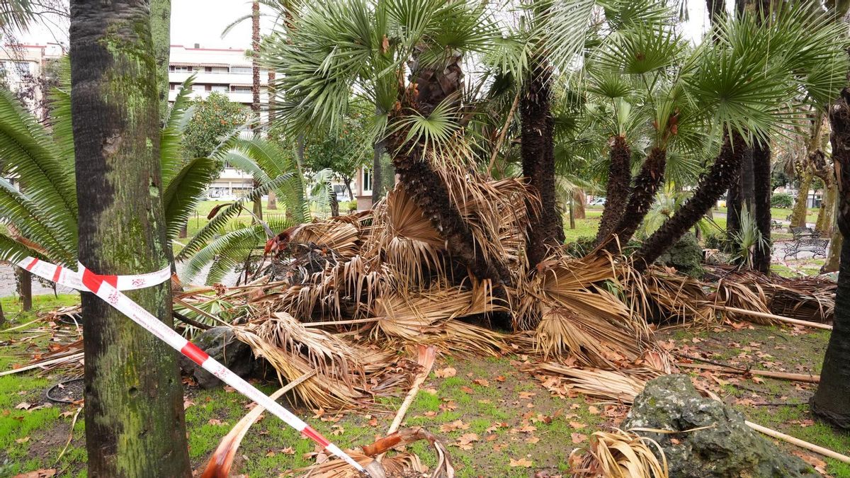 Las imágenes de los daños de la borrasca Kristin a su paso por Córdoba
